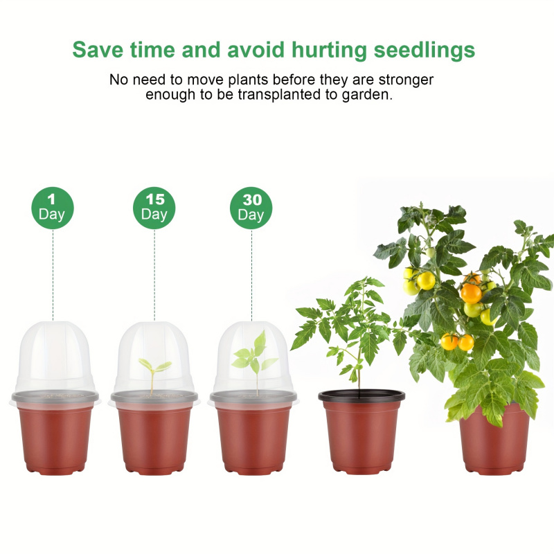 Nem Kubbeli Bitki Fidanlığı Sa - Baby Nursery Plants incelemesi ve fiyatı