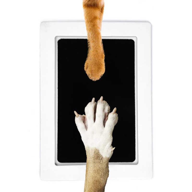 Kedi Köpek Paw Baskı Mürekkep  - Footprint Ink Kit incelemesi ve fiyatı