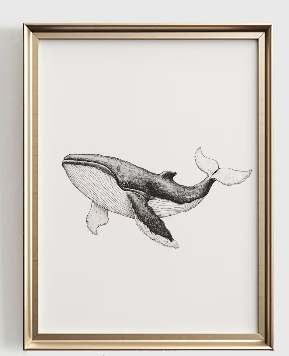 Balina Çizimli Sanat Baskısı,  - Baby Nursery Ocean incelemesi ve fiyatı